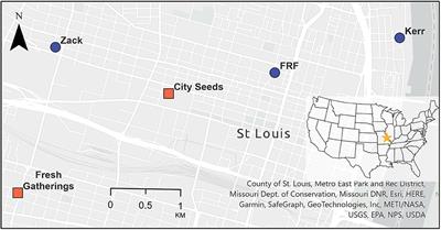 Bee diversity on urban rooftop food gardens